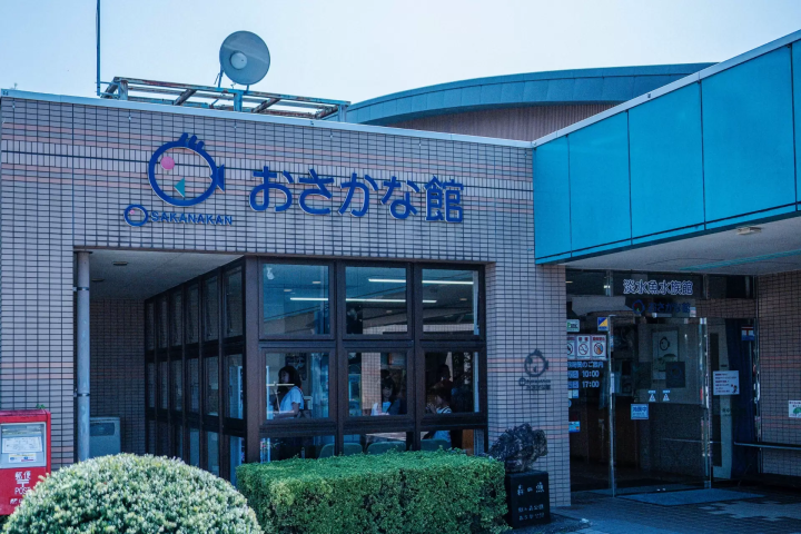 翻新后的鱼类博物馆 