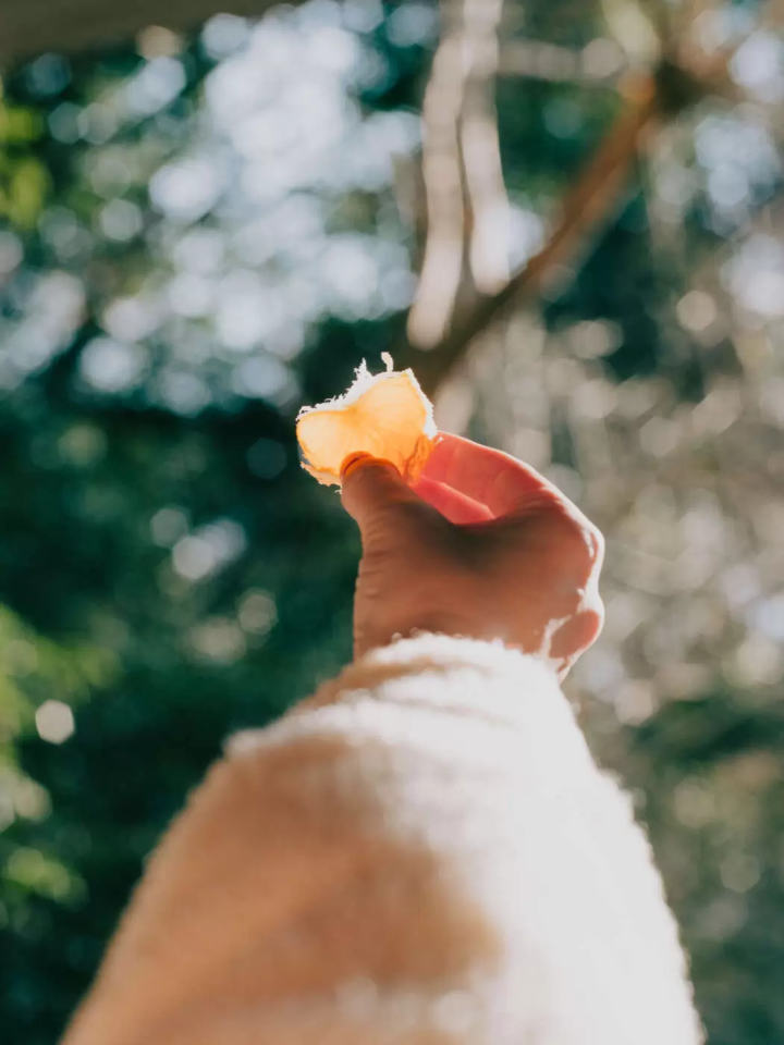 แผนเดินทางตัวอย่าง 2 วัน 1 คืนสำหรับทริปถ่ายภาพในเมือง Yaizu จังหวัด Shizuoka!