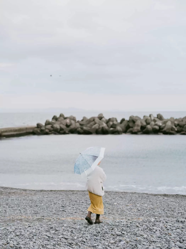 แผนเดินทางตัวอย่าง 2 วัน 1 คืนสำหรับทริปถ่ายภาพในเมือง Yaizu จังหวัด Shizuoka!