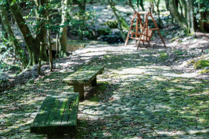 숙박 시설 「미즈키노 롯지」에서 시작하는 숙박자와 스탭을 연결하는 새로운 숙박 체험