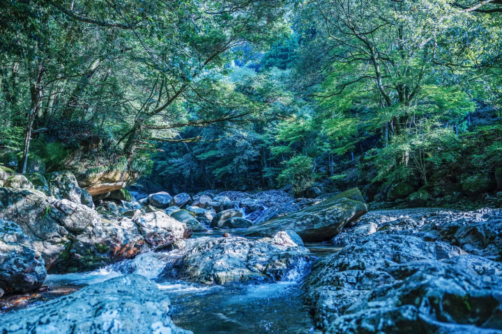 숙박 시설 「미즈키노 롯지」에서 시작하는 숙박자와 스탭을 연결하는 새로운 숙박 체험