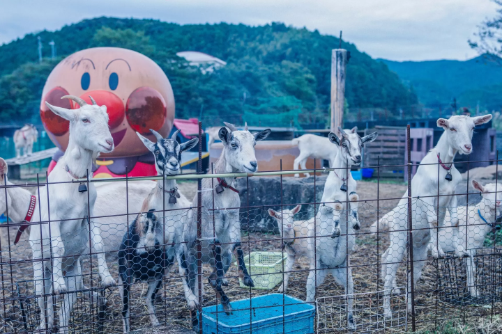 全新的铁路体验。聆听予土线上的故事和风景
