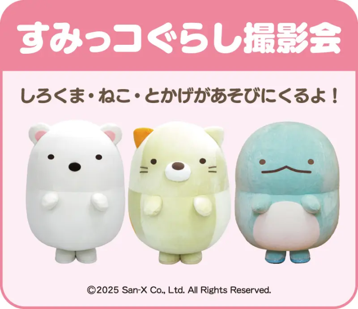 すみっコぐらし水族館　撮影会