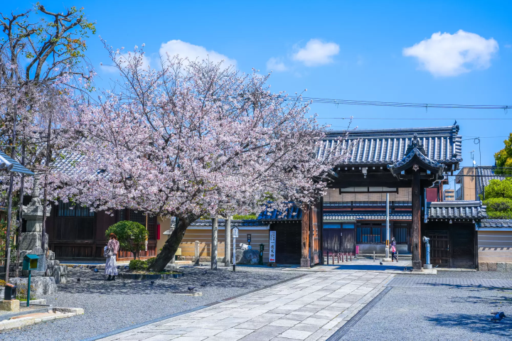 【追尋新撰組的足跡】京都壬生寺與池田屋紀行！交通住宿全攻略