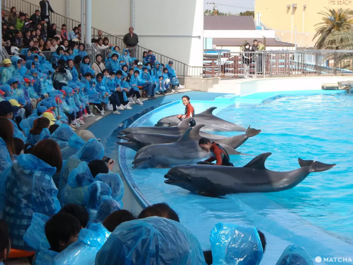 【嚴選愛知】除了名古屋之外，還有更多值得你探索的愛知縣！