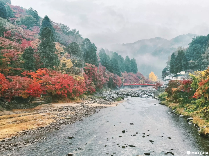 【嚴選愛知】除了名古屋之外，還有更多值得你探索的愛知縣！