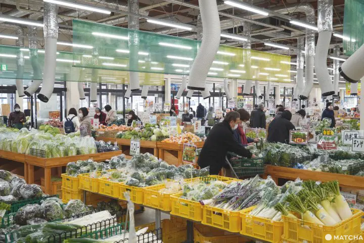 【嚴選愛知】除了名古屋之外，還有更多值得你探索的愛知縣！