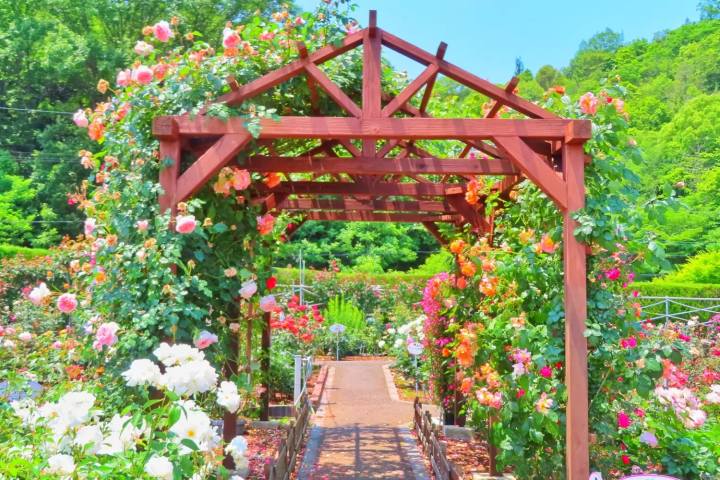 福山的觀光景點7選！必嚐當地美食也一同介紹