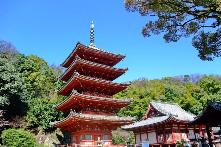 福山的觀光景點7選！必吃當地美食的介紹