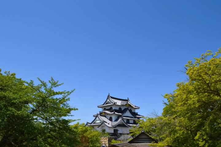 充分遊覽 彥根的觀光景點＆當地美食推薦11選