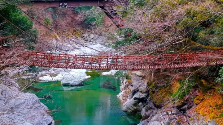 祖谷のかずら橋