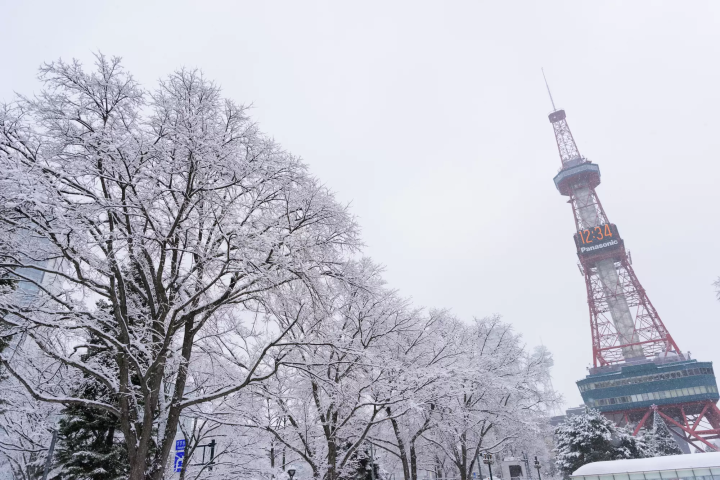 【北海道手稻滑雪場】距離市中心最近！家庭友善的滑雪樂園！交通住宿美食全攻略