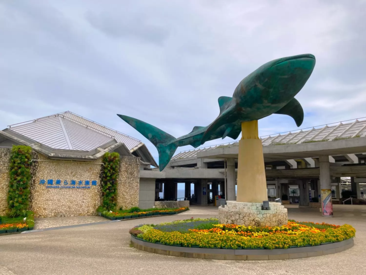 美ら海水族館