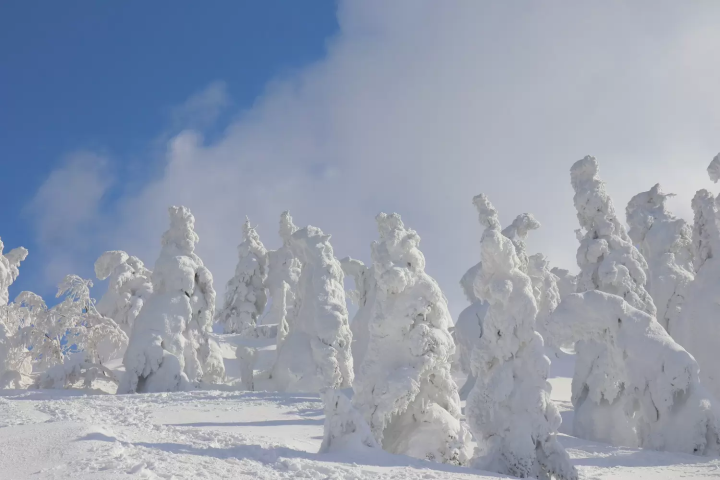 秋田的1-3月的氣溫與服裝