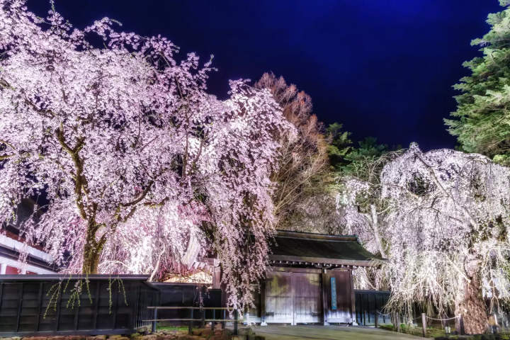 秋田4-6月的氣溫與服裝