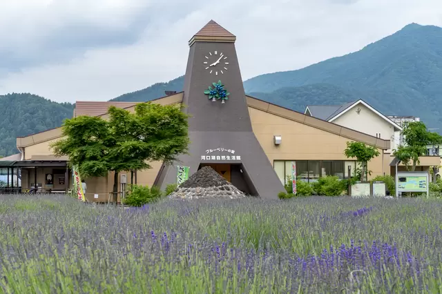 Kawaguchiko Natural Living Center