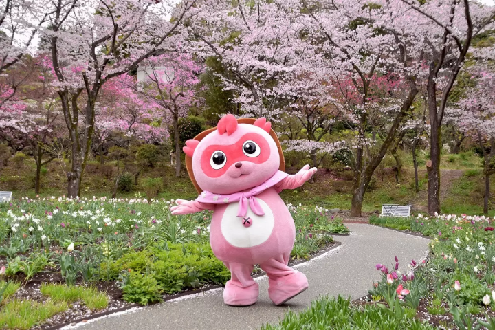 Tokyo Cherry Blossom Illumination