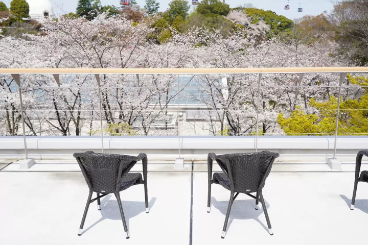 Tokyo Cherry Blossom Illumination