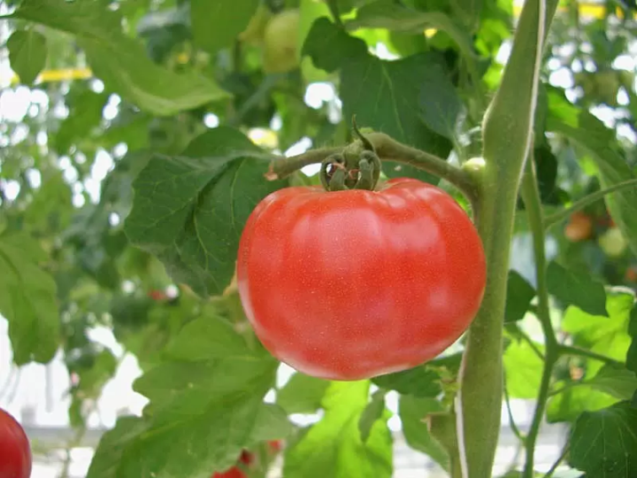 一邊品嚐這顆隱藏的清酒瑰寶，一邊感受它的歷史！ ！