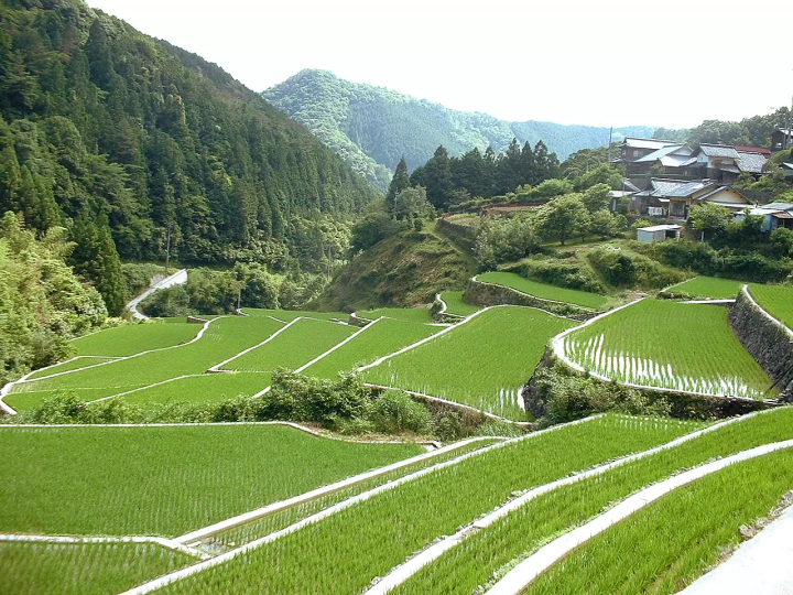 一邊品嚐這顆隱藏的清酒瑰寶，一邊感受它的歷史！ ！