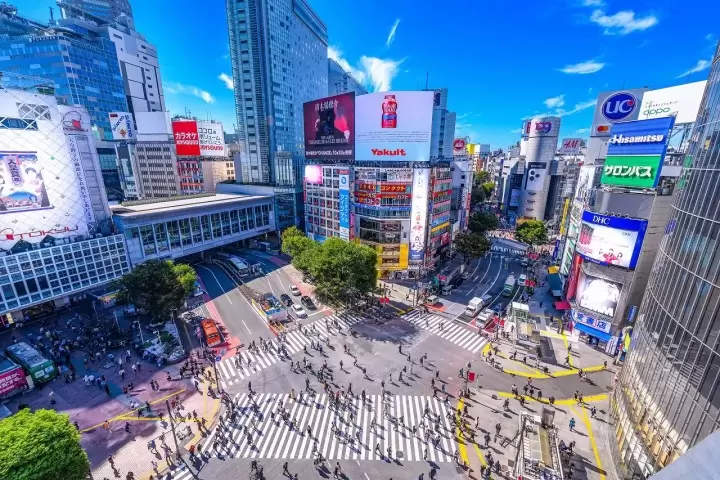 shibuya crossing