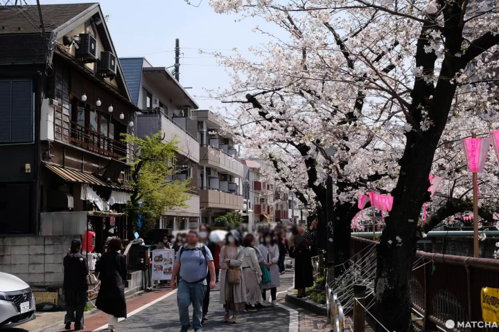 中目黒のお花見スポット