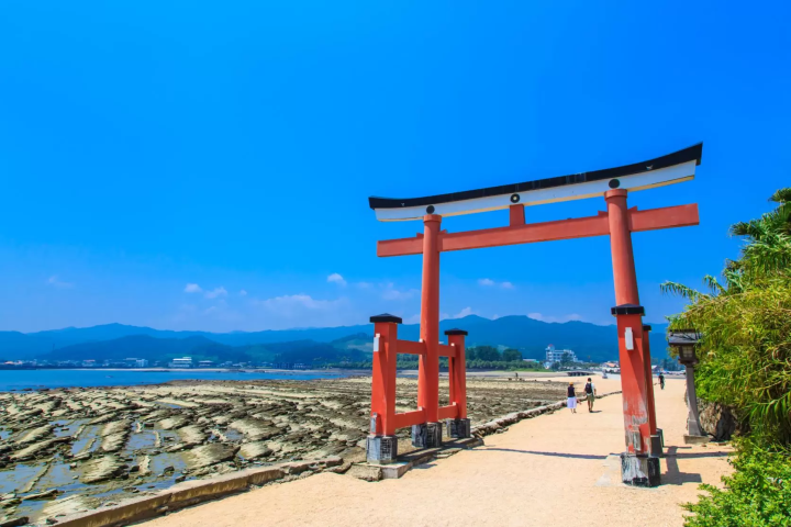 从宫崎站享受美食和观光！搭乘便捷的巴士和火车游览宫崎市