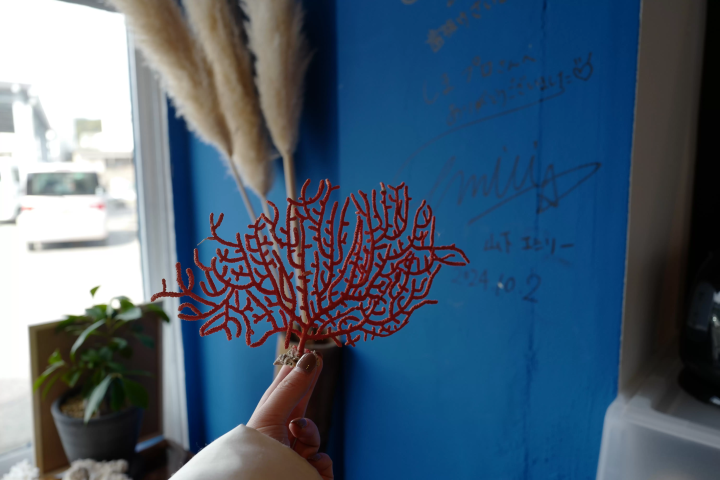 Enjoy activities in Nobeoka! Introducing ways to enjoy your trip to Miyazaki at a great price and in a convenient way