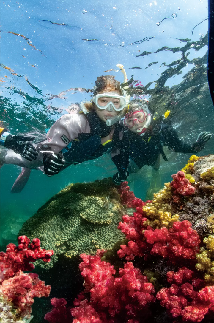 Enjoy activities in Nobeoka! Introducing ways to enjoy your trip to Miyazaki at a great price and in a convenient way