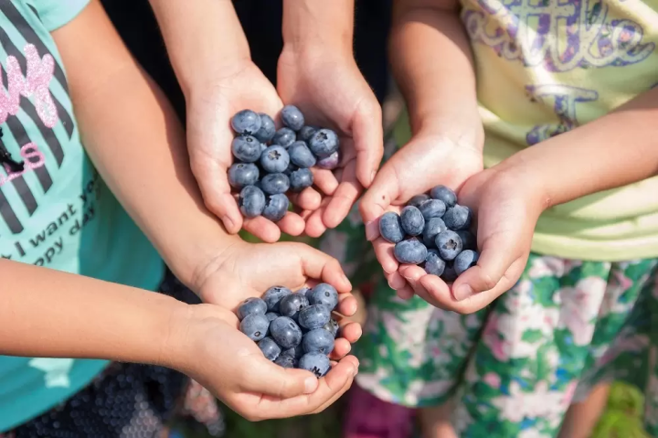 【群馬縣川場村】道之站川場田園廣場推薦5大美食！