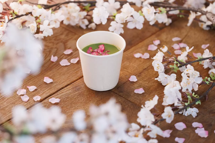 NAKED meets Nijo Castle 2025 Sakura