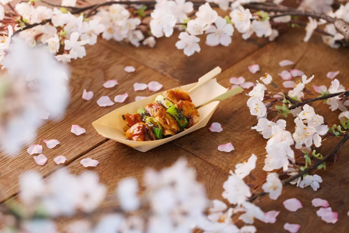 NAKED meets Nijo Castle 2025 Sakura