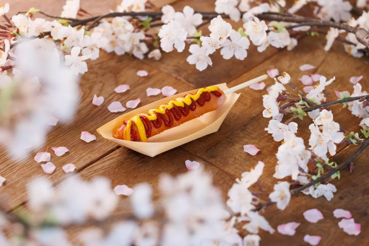 NAKED meets Nijo Castle 2025 Sakura