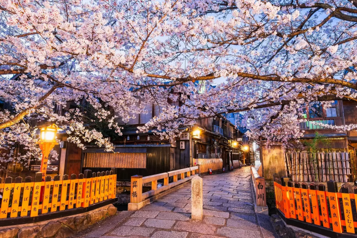 Kyoto Gion Shirakawa