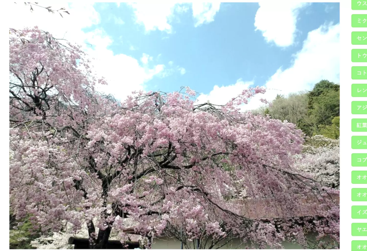 妙義山県立森林公園 さくらの里