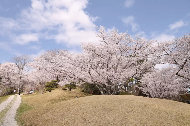 半田山植物園