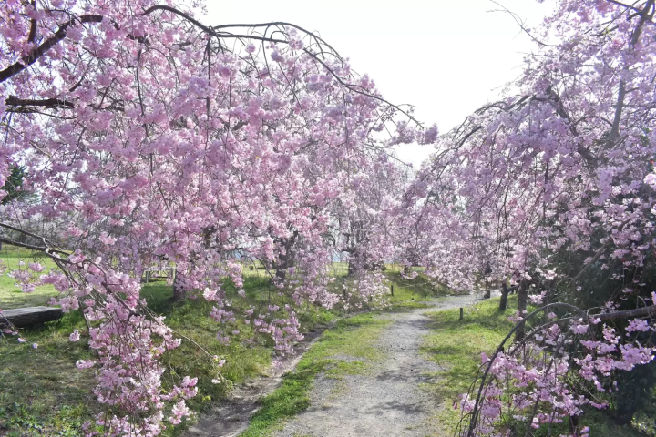 たけべの森公園