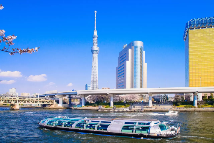 Sumida River Cruise