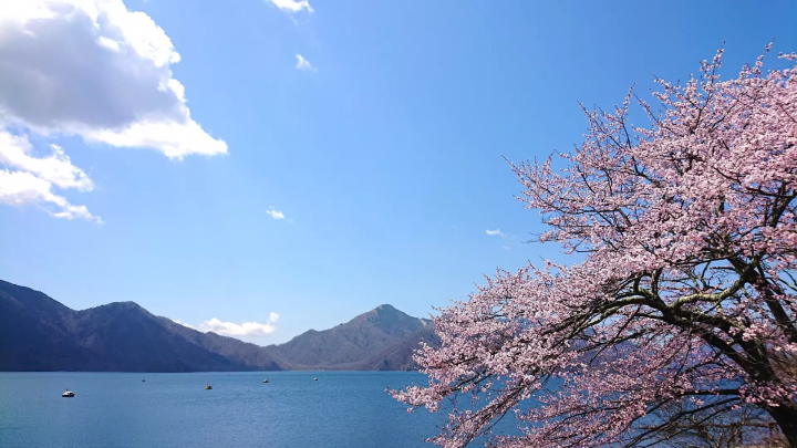日光の気温とおすすめの服装｜季節ごとの気候や観光ベストシーズンを解説