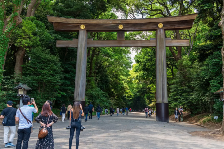 Meiji Jingu Shrine Torii