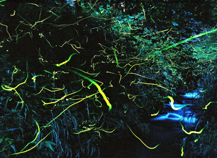 [ Higashiagatsuma Town , Gunma Gunma ] 20 minutes from Shima Onsen! Enjoy rich nature and history in Higashiagatsuma Town