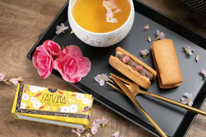 春季賞花特別活動！橫濱紅磚倉庫「FLOWER GARDEN 2025」3月28日開跑