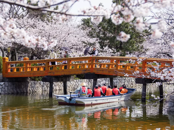 料金：大人(中学生以上)800円・こども(小学生以下で保護者同伴)200円 