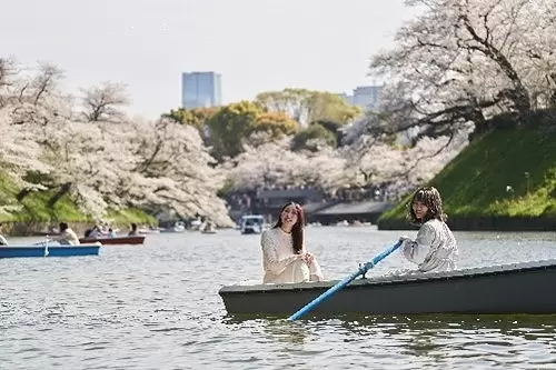 Boat rides at Chidorigafuchi 