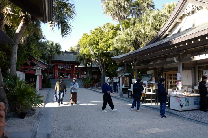 从宫崎站享受美食和观光！搭乘便捷的巴士和火车游览宫崎市