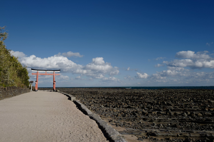 从宫崎站享受美食和观光！搭乘便捷的巴士和火车游览宫崎市