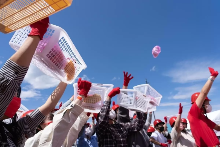 北海道網走 5 月/6 月旅遊資訊：石竹、鯨魚、大閘蟹、騎自行車