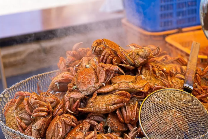 北海道網走 5 月/6 月旅遊資訊：石竹、鯨魚、大閘蟹、騎自行車