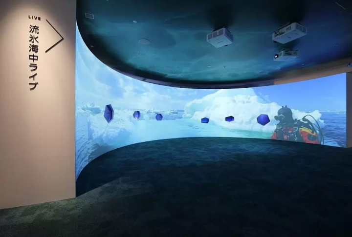 北海道網走 5 月/6 月旅遊資訊：石竹、鯨魚、大閘蟹、騎自行車