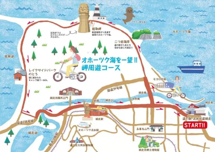 北海道網走 5 月/6 月旅遊資訊：石竹、鯨魚、大閘蟹、騎自行車
